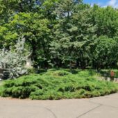 Statiunea de Cercetare Dezvoltare pentru Viticultura si Vinificatie Pietroasa Buzau