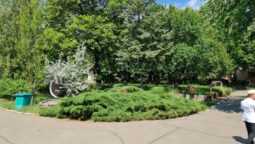 Statiunea de Cercetare Dezvoltare pentru Viticultura si Vinificatie Pietroasa Buzau