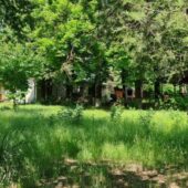 Statiunea de Cercetare Dezvoltare pentru Viticultura si Vinificatie Pietroasa Buzau