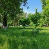 Statiunea de Cercetare Dezvoltare pentru Viticultura si Vinificatie Pietroasa Buzau