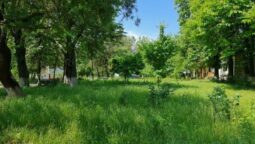 Statiunea de Cercetare Dezvoltare pentru Viticultura si Vinificatie Pietroasa Buzau