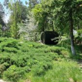 Statiunea de Cercetare Dezvoltare pentru Viticultura si Vinificatie Pietroasa Buzau