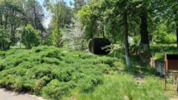 Statiunea de Cercetare Dezvoltare pentru Viticultura si Vinificatie Pietroasa Buzau