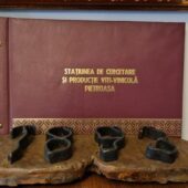 Statiunea de Cercetare Dezvoltare pentru Viticultura si Vinificatie Pietroasa Buzau