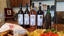 Statiunea de Cercetare Dezvoltare pentru Viticultura si Vinificatie Pietroasa Buzau