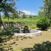 Statiunea de Cercetare Dezvoltare pentru Viticultura si Vinificatie Pietroasa Buzau