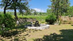 Statiunea de Cercetare Dezvoltare pentru Viticultura si Vinificatie Pietroasa Buzau