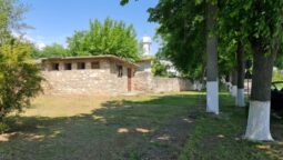 Statiunea de Cercetare Dezvoltare pentru Viticultura si Vinificatie Pietroasa Buzau