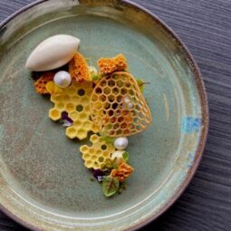 Chef David Vidal - Masterclass la Horeca Culinary School