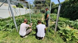 In vizita la gradina de legume a restaurantului Sardin, in loc. Lunguletu, jud. Dambovita