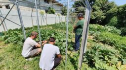 In vizita la gradina de legume a restaurantului Sardin, in loc. Lunguletu, jud. Dambovita