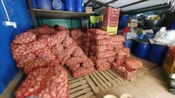 In vizita la gradina de legume a restaurantului Sardin, in loc. Lunguletu, jud. Dambovita