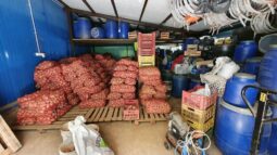 In vizita la gradina de legume a restaurantului Sardin, in loc. Lunguletu, jud. Dambovita