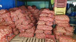 In vizita la gradina de legume a restaurantului Sardin, in loc. Lunguletu, jud. Dambovita