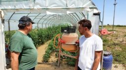 In vizita la gradina de legume a restaurantului Sardin, in loc. Lunguletu, jud. Dambovita