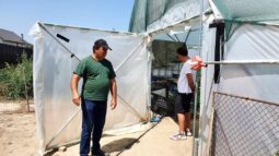 In vizita la gradina de legume a restaurantului Sardin, in loc. Lunguletu, jud. Dambovita