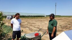 In vizita la gradina de legume a restaurantului Sardin, in loc. Lunguletu, jud. Dambovita