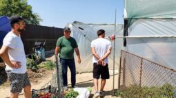 In vizita la gradina de legume a restaurantului Sardin, in loc. Lunguletu, jud. Dambovita