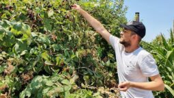 In vizita la gradina de legume a restaurantului Sardin, in loc. Lunguletu, jud. Dambovita