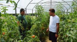 In vizita la gradina de legume a restaurantului Sardin, in loc. Lunguletu, jud. Dambovita