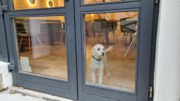 The River Chalet Sibiel (Marginimea Sibiului) Restocracy