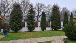 The River Chalet Sibiel (Marginimea Sibiului) Restocracy