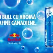 RED BULLEstival - Afine canadiene