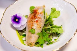 Palatul Suter - Gramont