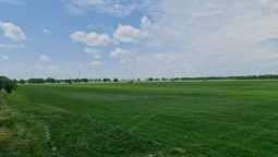 Ferma Pedagogica Sabareni, Clubul Copiilor - Restocracy