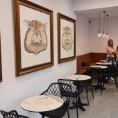 Le Chat Gourmand, cofetarie frantuzeasca fina - Restocracy