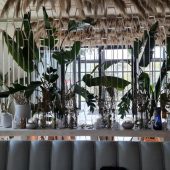 Medusa, restaurant in Pipera - Restocracy