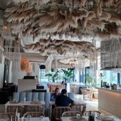 Medusa, restaurant in Pipera - Restocracy