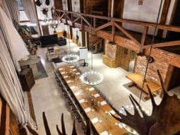 Singureni Manor Events