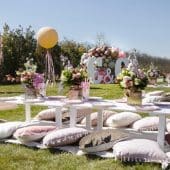 Singureni Manor Events