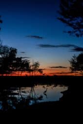 Singureni Manor Events