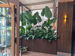 Restaurant IMZA - Restocracy