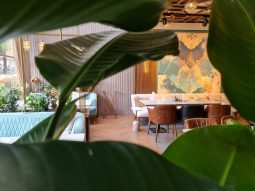 Restaurant IMZA - Restocracy