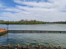 Restaurant UNDA Straulesti