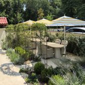 Restaurantul Bergamot în Casa Grigore Gafencu