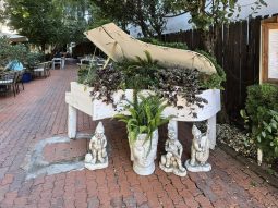 Restaurantul Rare Garden