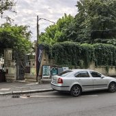 Ritzy Sensory Garden