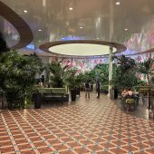 Restaurantele Greens și Humboldt, Therme București - Restocracy